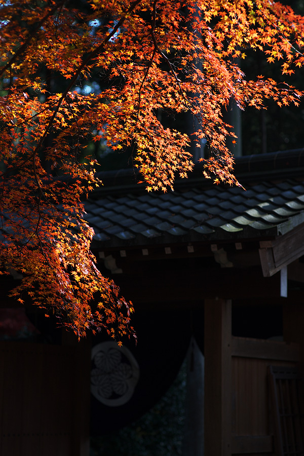 c0115616_2019135.jpg