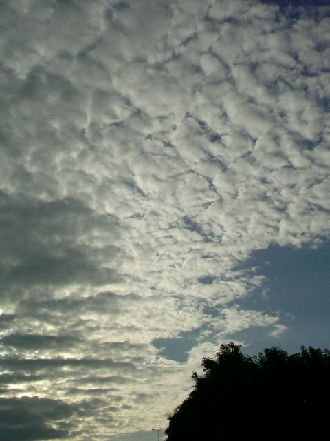 雲が楽しいここ2日間_b0019819_1564772.jpg