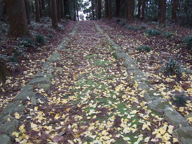 f0143119_22423323.jpg