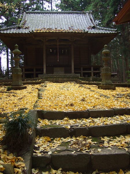 f0143119_2243548.jpg