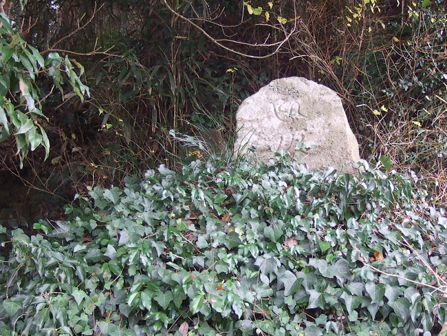 f0143119_22493100.jpg