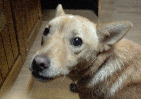 c0150520_011234.jpg