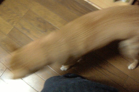 c0150520_094674.jpg
