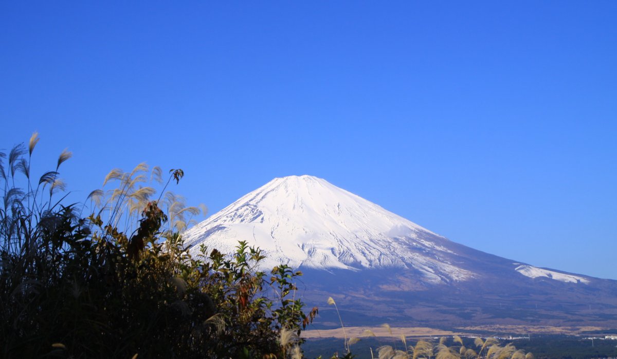 今日の富士山_d0113821_18513170.jpg