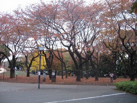 e0162524_12281763.jpg