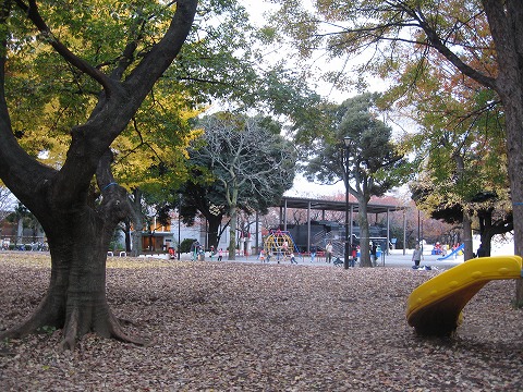 e0162524_1228304.jpg