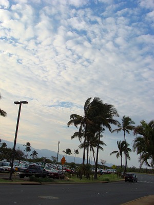 f0170524_11454722.jpg