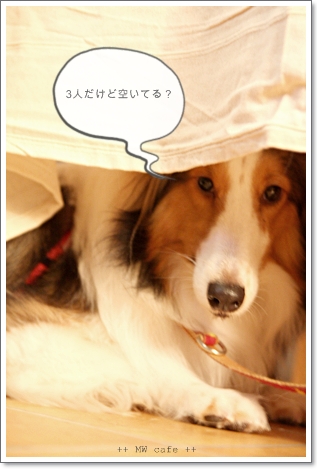 MW cafe☆に行く♪_e0191026_21541222.jpg