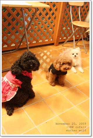 MW cafe☆に行く♪_e0191026_22345366.jpg