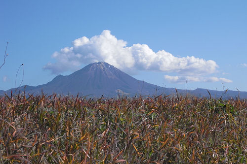 f0007926_1140236.jpg