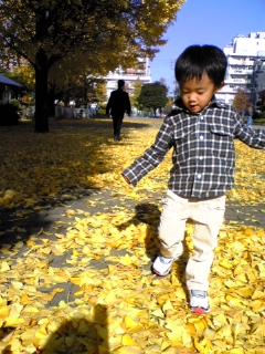 赤塚公園は今綺麗です。_e0118927_12295493.jpg