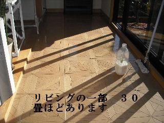 樹脂ワックスとトイレの続き・・・_f0031037_21295244.jpg
