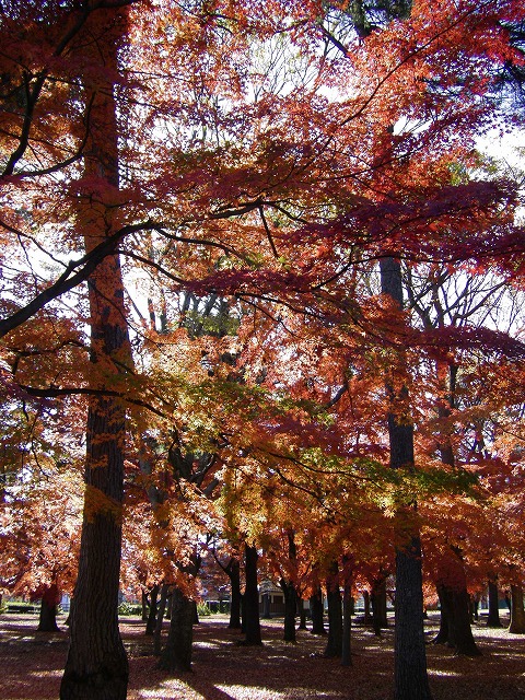 a0023043_19482322.jpg