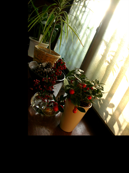 c0206645_1349576.jpg