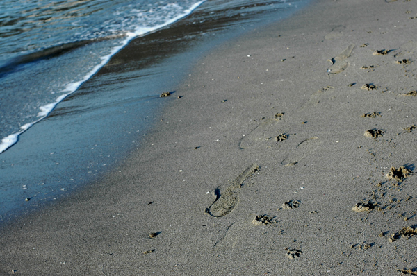 a0082146_1572123.jpg