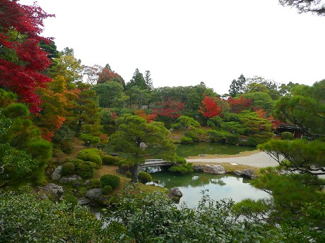 仁和寺の紅葉_c0057946_20231990.jpg