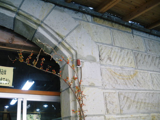 c0089446_2312327.jpg