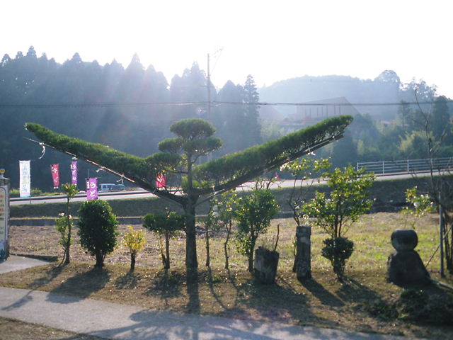 c0089446_236263.jpg