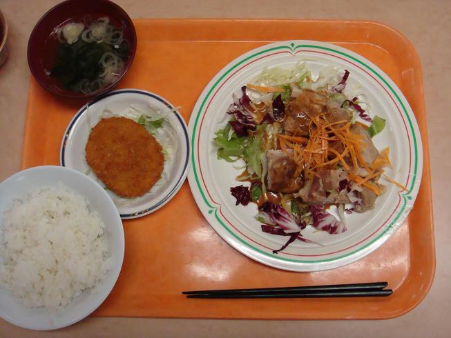 学生食堂 学生による学生のための 仙川ランチマップ