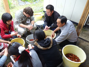 秋田の農家民泊！留学生が西木町へ_c0214156_131278.jpg