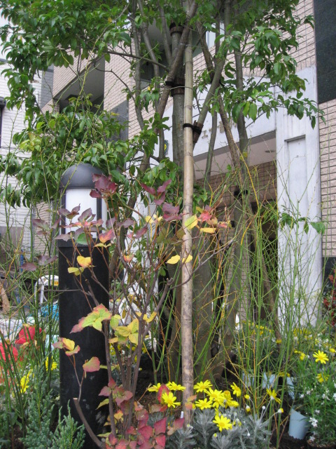 b0142657_14263411.jpg