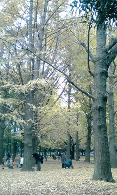 c0162963_21204097.jpg