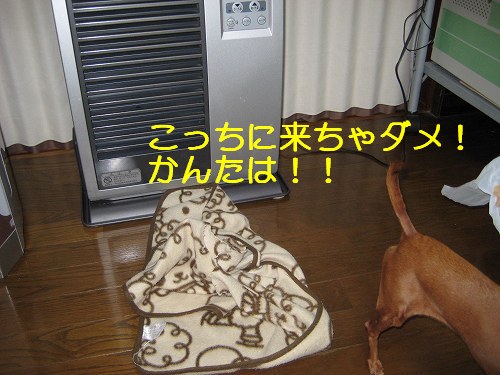 a0091865_22231785.jpg