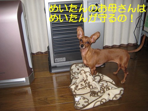 a0091865_22235183.jpg