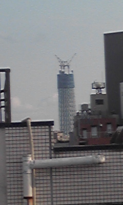 なんじゃもんじゃのビル？_c0220170_23481393.jpg