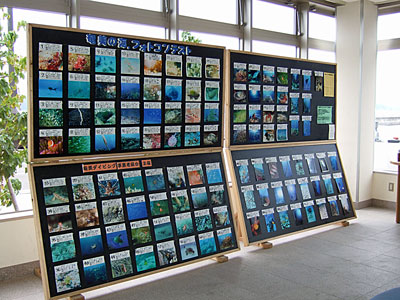 フォトコン in 海の駅_b0033573_20432832.jpg