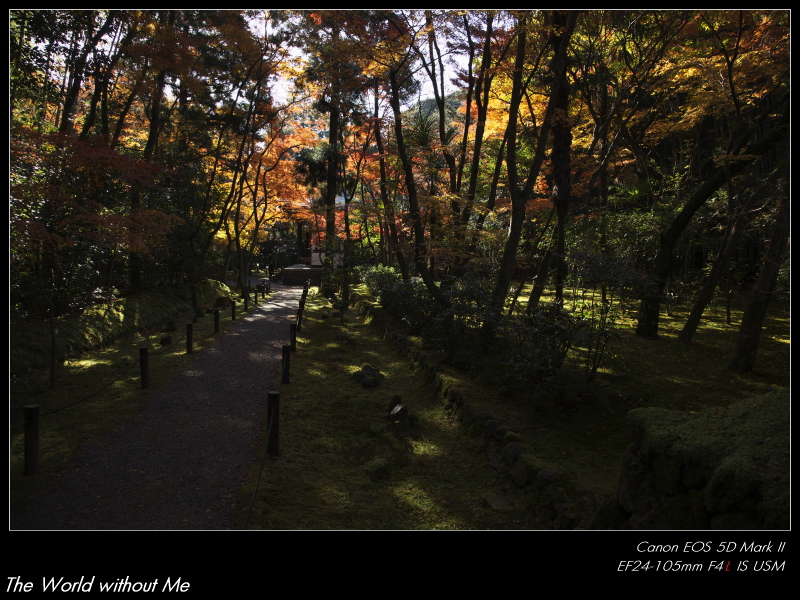 portfolio 095 \"地蔵院（竹の寺）\"_c0194174_2127358.jpg