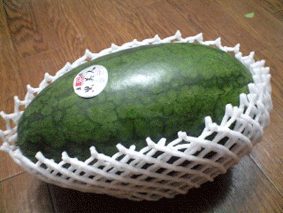 c0149475_16312317.gif