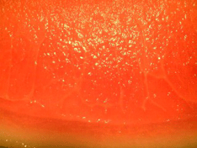 c0149475_16321097.gif