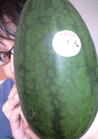 c0149475_1632435.gif
