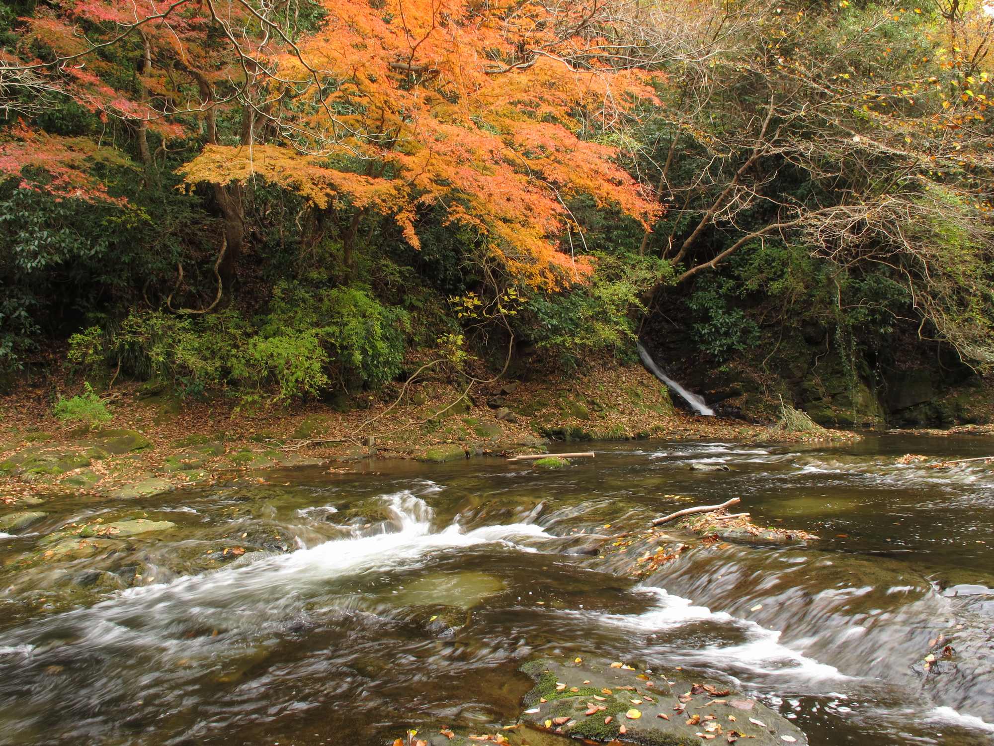 e0071178_40119.jpg