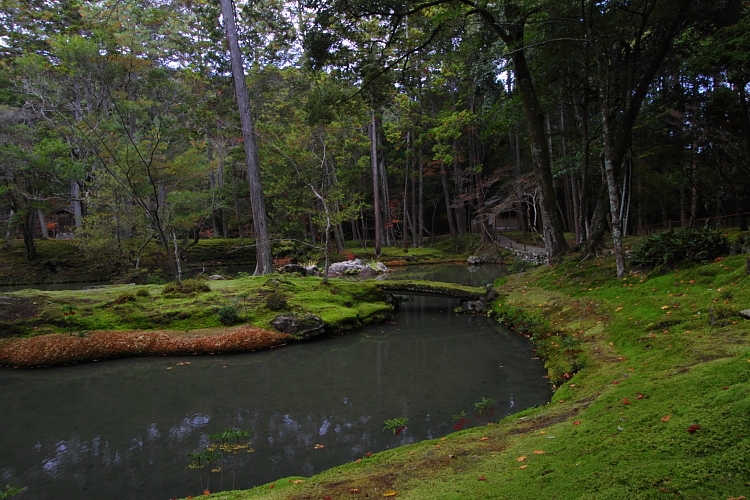 苔寺（西芳寺）_e0051888_1591185.jpg