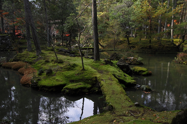 苔寺（西芳寺）_e0051888_1593058.jpg