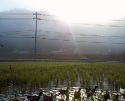b0119190_12221947.jpg