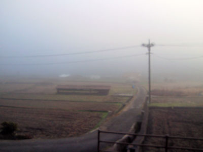 b0119190_12224695.jpg