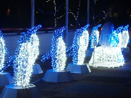 a0041508_170221.jpg