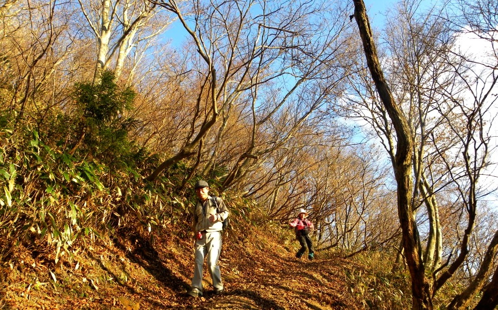 高島トレイル　愛発越〜黒河峠　１２月２日（水）_c0078410_9275413.jpg