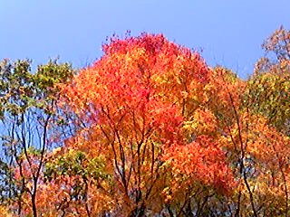 b0007213_17473629.jpg