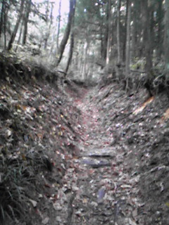 b0007213_17492842.jpg