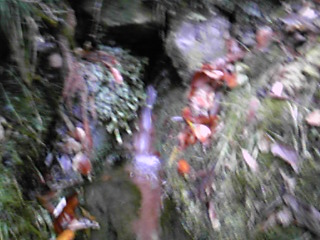 b0007213_1752205.jpg