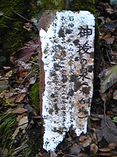 b0007213_1752328.jpg