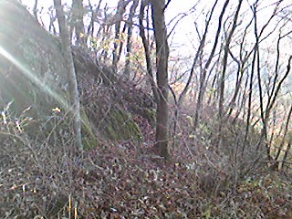 b0007213_1755330.jpg
