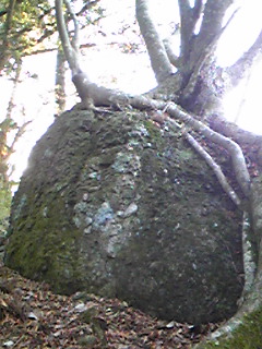 b0007213_17553653.jpg