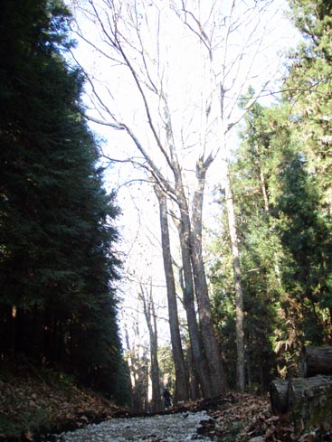 b0117718_18292359.jpg