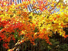 e0110119_10221036.jpg