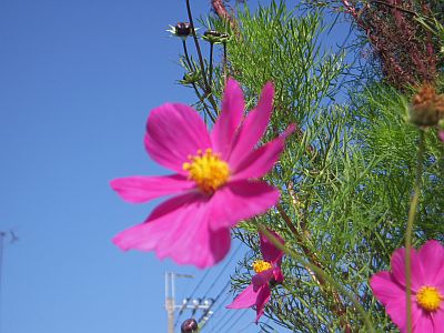 e0108126_1234527.jpg